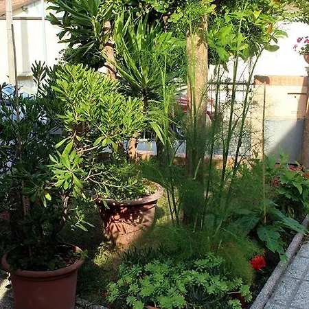 Casarava Sul Parco 3 2 Bagni * Ριτσιόνε