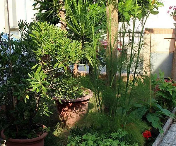 Casarava Sul Parco 3 2 Bagni * Riccione